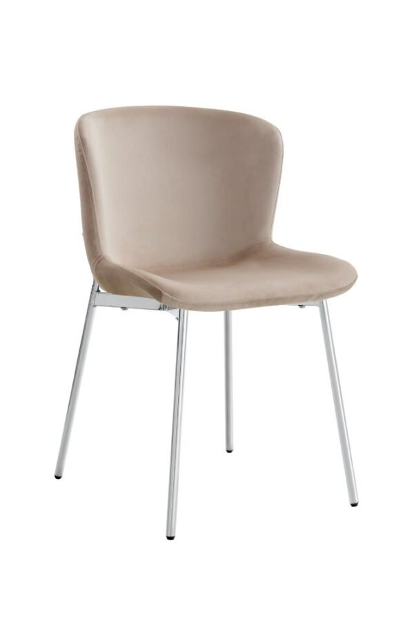 CHAISE HAILEY - Image 2