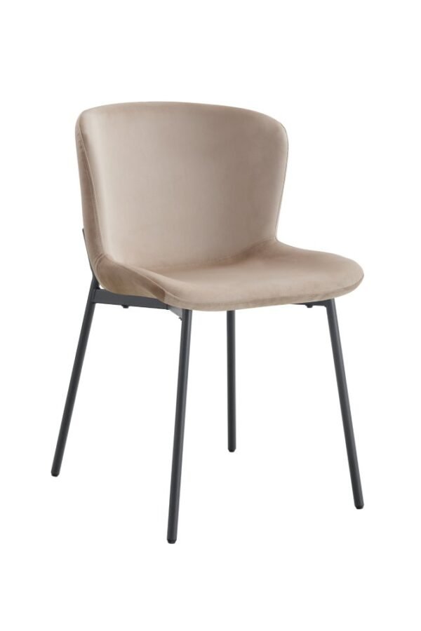 CHAISE HAILEY - Image 9